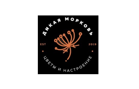 Дикая морковь. Цветы и настроение